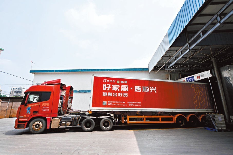 唐順興：解鎖白切雞風味，食材源頭直供批發(fā)廠家